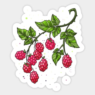 raspberries twig Sticker